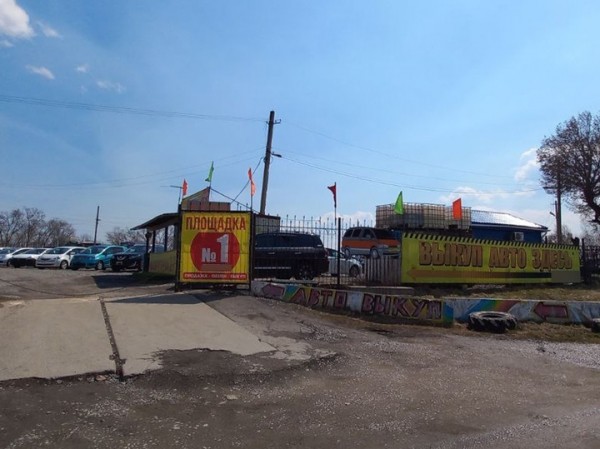 &laquo;Право руля&raquo;: какие автомобили котируются на Дальнем Востоке