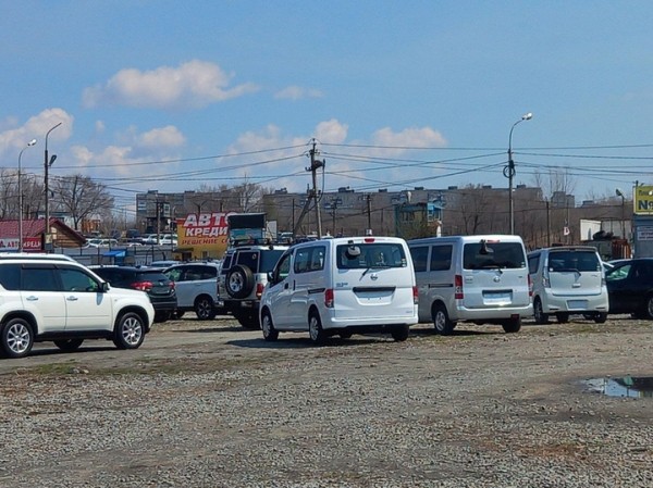 &laquo;Право руля&raquo;: какие автомобили котируются на Дальнем Востоке