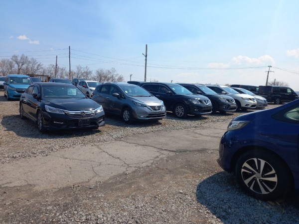 &laquo;Право руля&raquo;: какие автомобили котируются на Дальнем Востоке