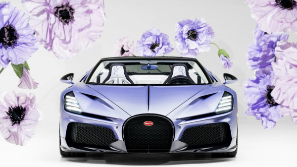 Bugatti W16 Mistral Caroline: цветочное совершенство Bugatti W16 Mistral Caroline: цветочное совершенство