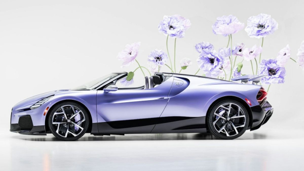 Bugatti W16 Mistral Caroline: цветочное совершенство Bugatti W16 Mistral Caroline: цветочное совершенство
